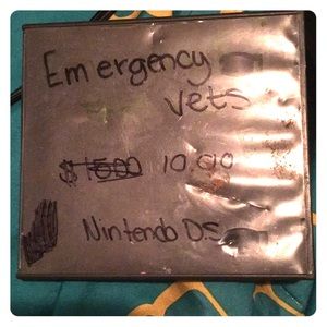 A Nintendo DS, Emergency vets